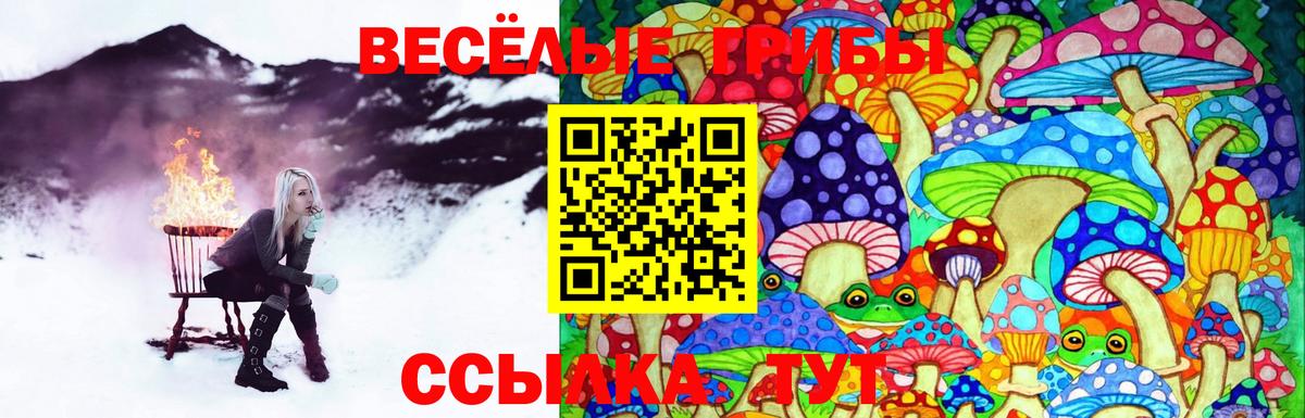 Псилоцибиновые грибы ЛСД Ленинск-Кузнецкий