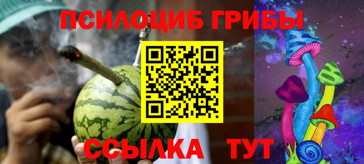 Ленинск-Кузнецкий  Псилоцибиновые грибы Cubensis  Вход с VPN 